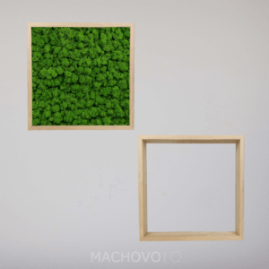 Mechová policová sestava čtvercová dvojice s lišejníkem
