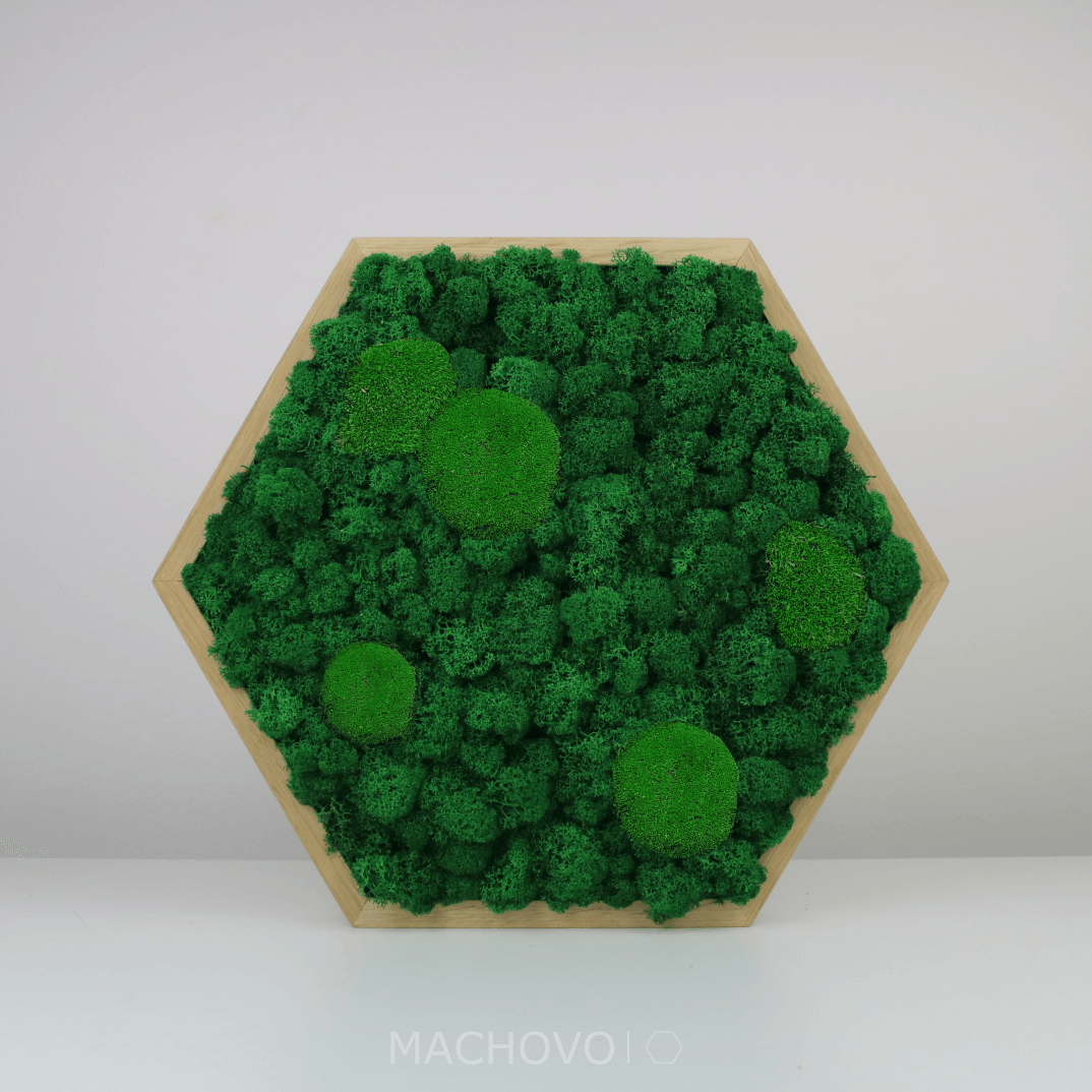 Mechový obraz - šestiúhelník - kopcovitý s lišejníkem - Obrázek 4