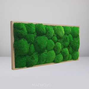 Obdélníkový mechový obraz ze zeleného kopcovitého mechu v dubovém rámu