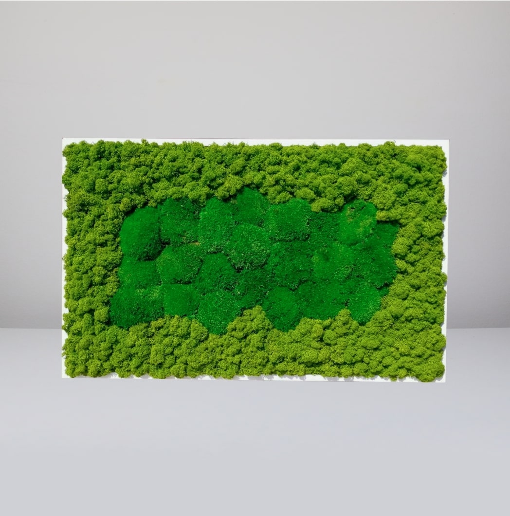 Machový obraz – obdĺžnik – hustý les - 80 x 50cm