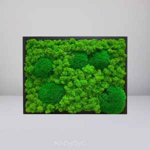Machový obraz – obdĺžnik – kopcovitý s lišajníkom - 40 x 30cm