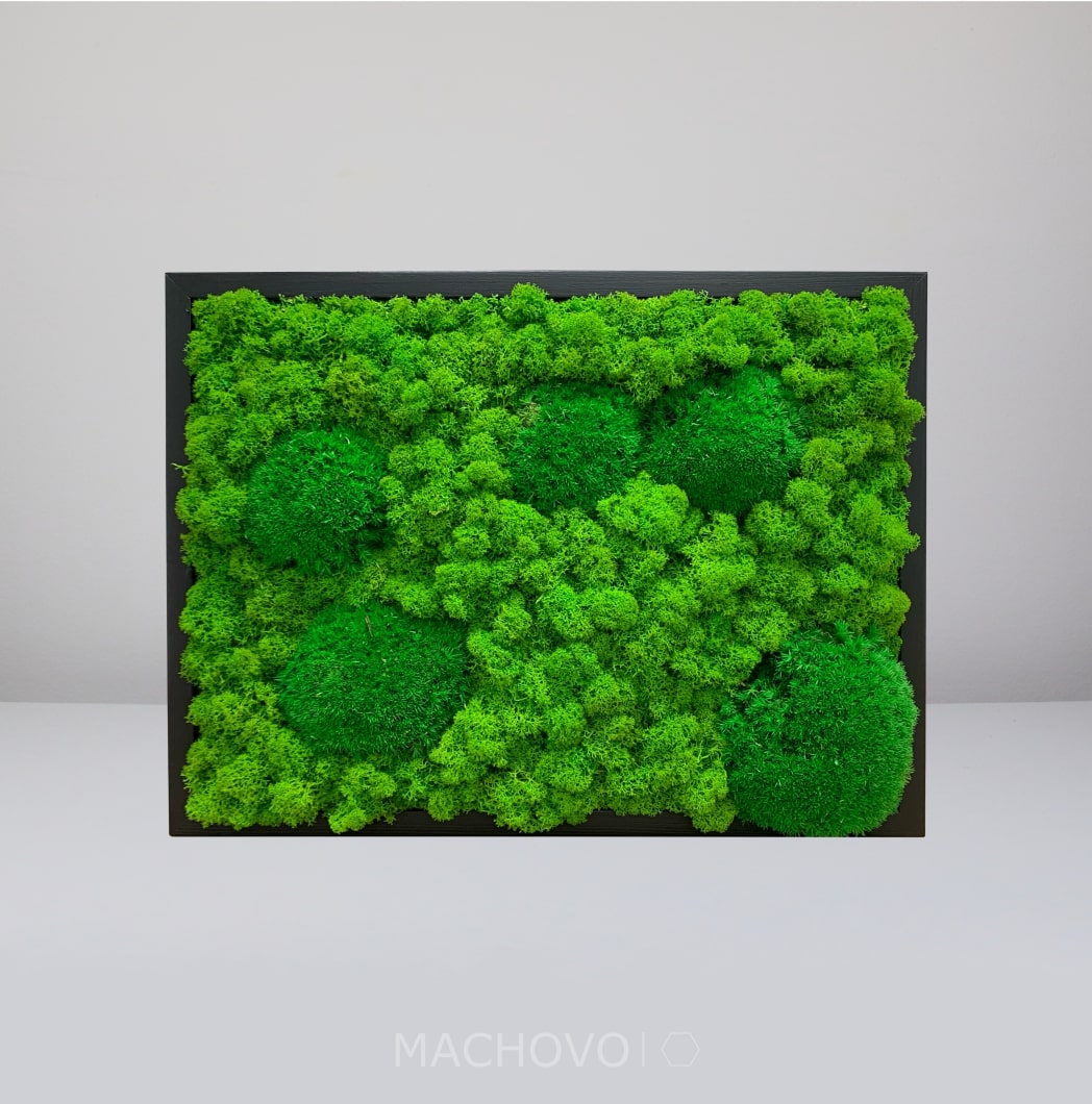 Machový obraz – obdĺžnik – kopcovitý s lišajníkom - 40 x 30cm