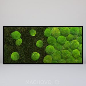 Horizontální mechový obraz Gradient světle zelený z plochého a kopcovitého mechu