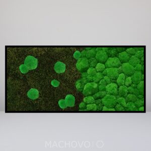 Horizontální mechový obraz Gradient zelený z plochého a kopcovitého mechu