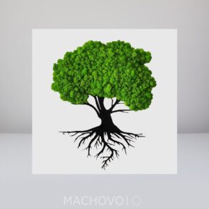Mechový obraz strom s kořeny na černém podkladu