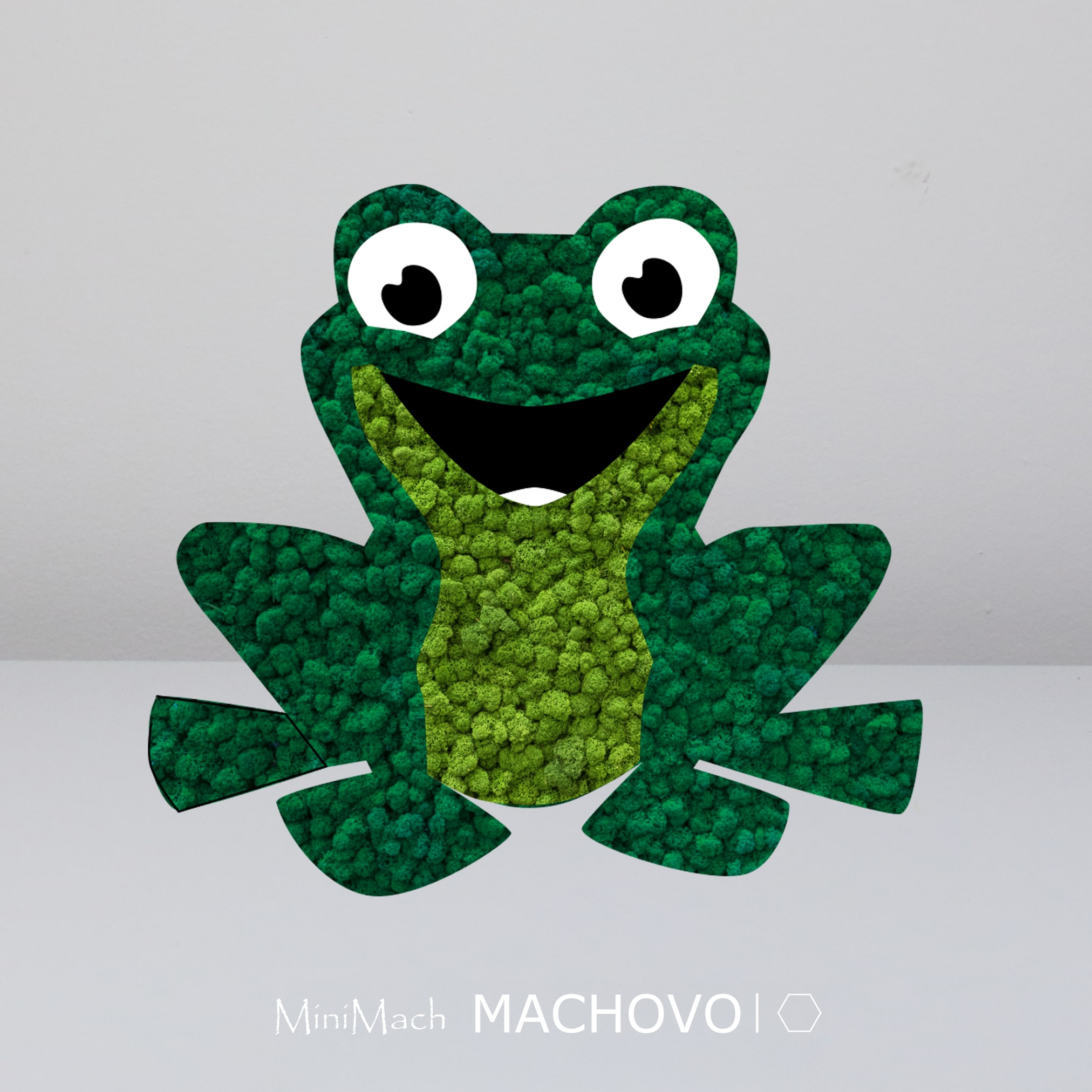 Mechový obraz Žabka z přírodního mechu