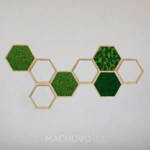 Mechová policová sestava oktáva z lišejníku