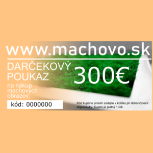 Dárkový poukaz 300€ v tištěné verzi