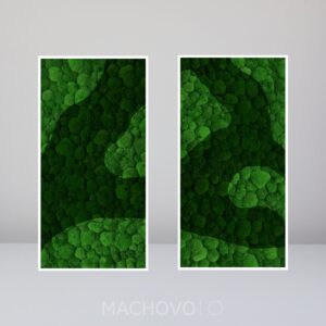Mechová sestava dvou obdélníků z kopcovitého mechu