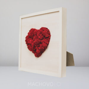 Mechová dekorace srdce v rámu 25 × 25 cm
