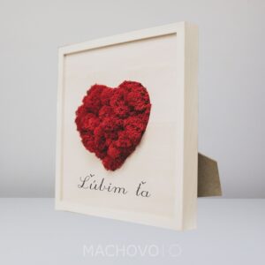Mechová dekorace srdce v rámu Miluji tě 25 × 25 cm