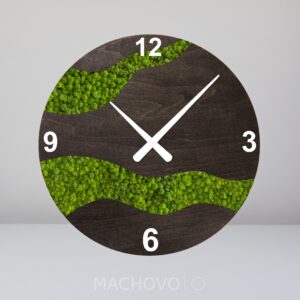 Mechové hodiny Dvě koryta řeky se světlým lišejníkem