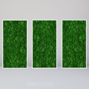 Mechová sestava tří obdélníků z kopcovitého mechu