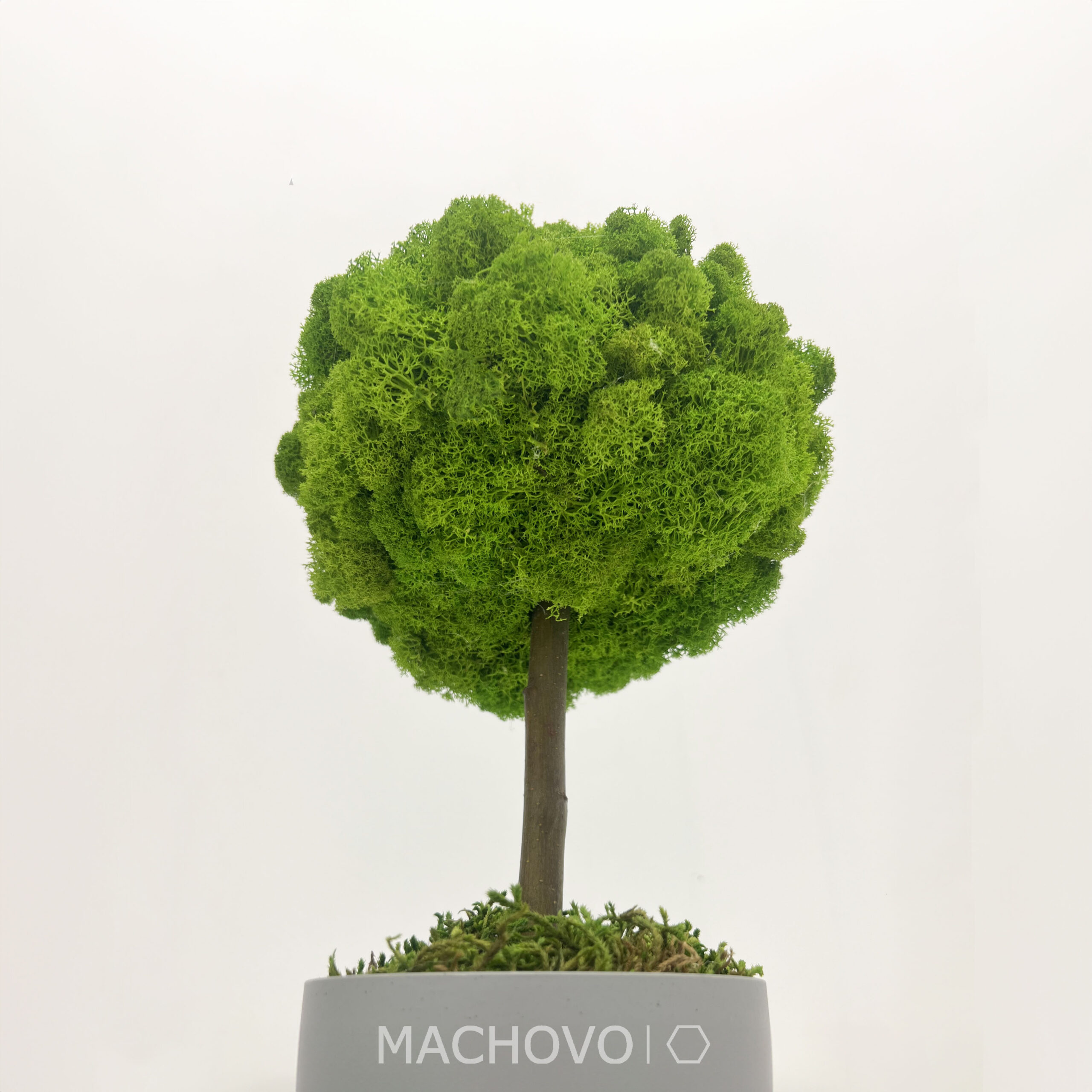 Machový 3D strom