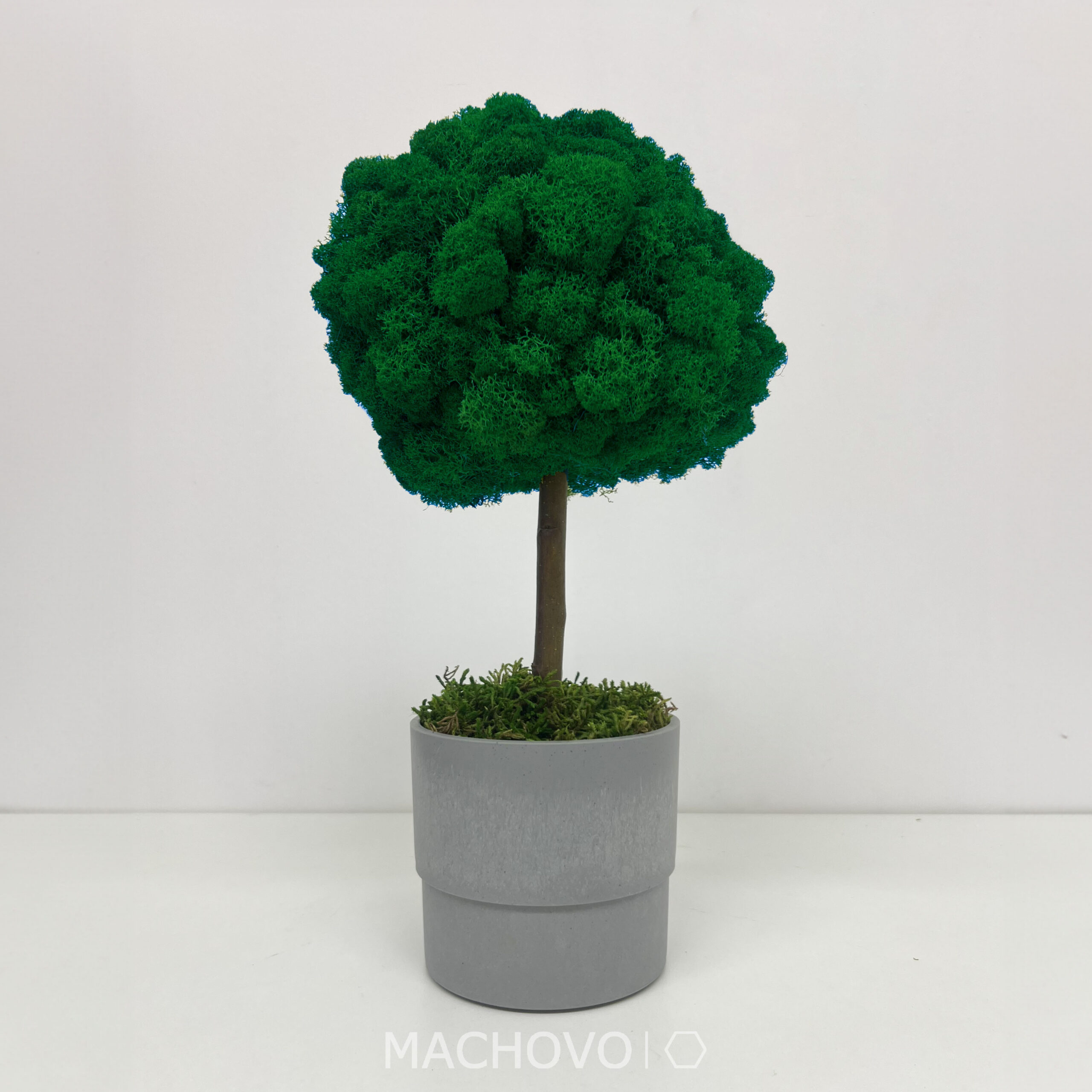 Mechový strom 3D - Obrázek 9