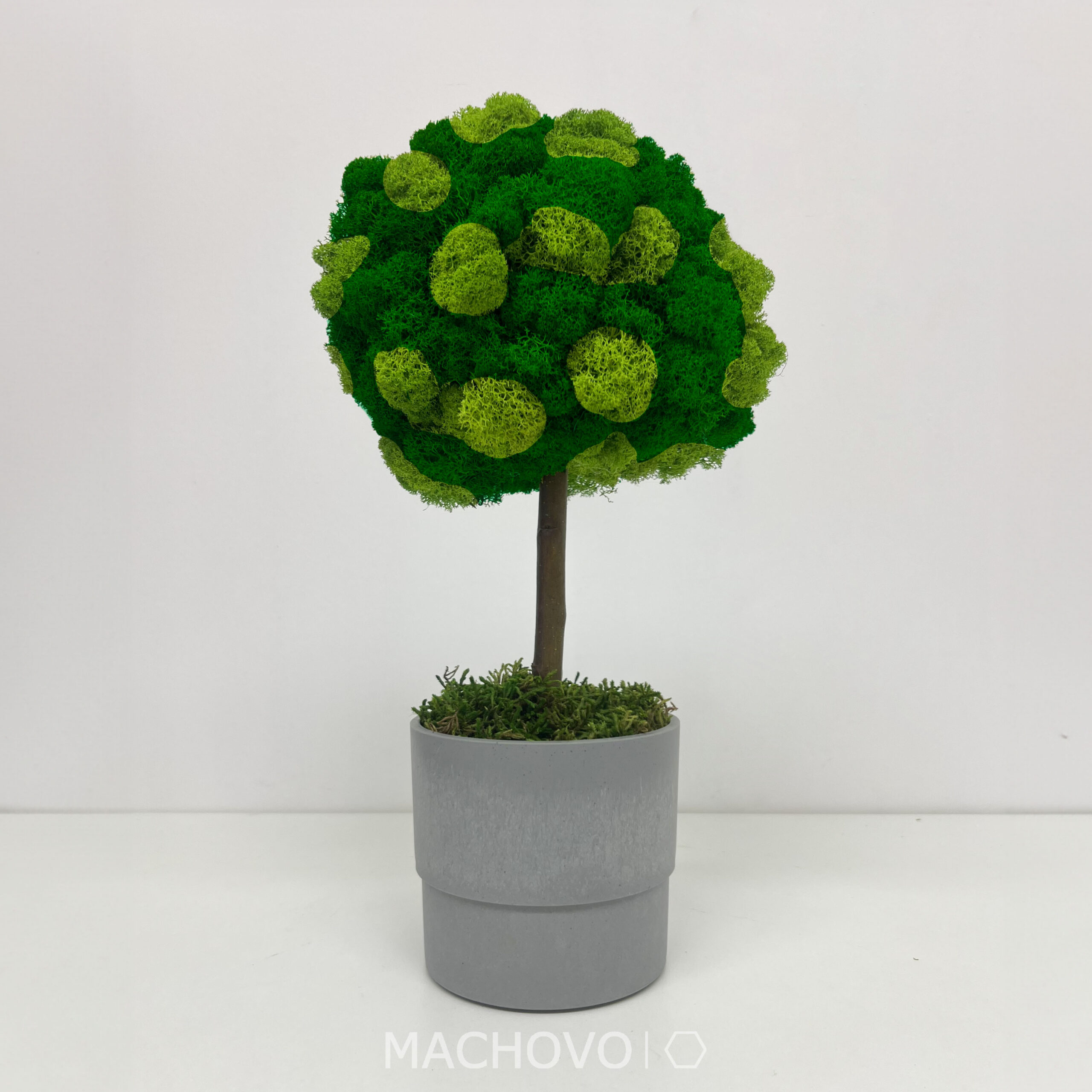 Mechový strom 3D - Obrázek 8