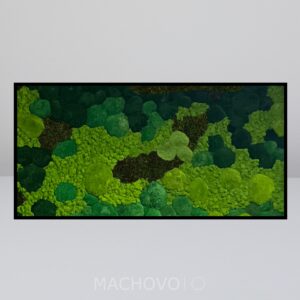 Mechový obraz Lesní mozaika z různých druhů mechu